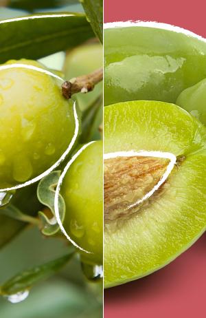 KMS ALLSMOOTH Intense Nourishing Treatment 100ml